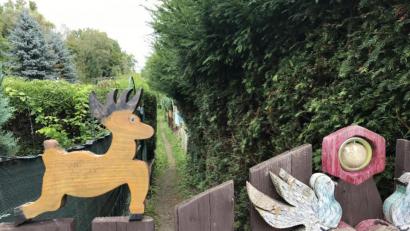 Bild: Gabi Schönberger
Kleingartenanlage beim Wittgarten Siechenstraße Bild: Gabi Schönberger