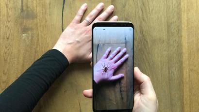Bild: Universität Basel/dpa
Eine App zeigt eine virtuelle Spinne auf einer Hand. Angst vor Spinnen macht vielen Leuten das Leben schwer - nun könnte das Handy Abhilfe schaffen.