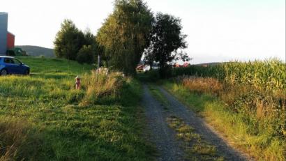 Bild: Portner
Das untere Stück der alten Weidinger Straße aus Richtung Schönsee (links der Metzgereibetrieb Meindl und im Hintergrund die Osterbrunnen-Siedlung der Stadt) ist als Schotterweg erhalten. Die weitere Trasse müsste parallel zur Staatsstraße 2154 bis zur Gemeindegrenze Weiding neu gebaut werden.