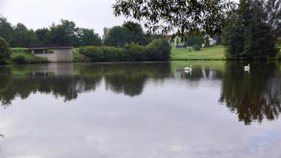 Bild: bkr
Im Stausee fühlen sich nicht nur Schwäne wohl. Biber haben im angrenzenden Biotop Einzug gehalten.