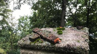Archivbild: Gabi Schönberger
Alle Holzkreuze wurden Ende August am Kreuzweg zur Bergkirche in Parkstein abgebrochen und beschädigt, teilweise auch entwendet. Nun hat ein 25-Jähriger eingeräumt, diese und weitere Sachbeschädigungen begangen zu haben.
