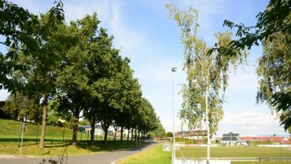 Bild: bey
Die von Eichen herabfallenden Eicheln und Äste sorgen angeblich für Unfallgefahren auf dem Kleinspielfeld links der Baumreihe und dem Kunstrasenplatz rechts der asphaltierten Straße. Der Sportverein hätte die Bäume gerne weg.