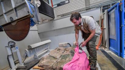 Bild: Flo Miedl
Nach dem ersten Sägeschnitt wusste Dinosaurierforscher Frederik Spindler noch nicht, dass sich in dem Stein weitere sensationelle Funde verbergen.