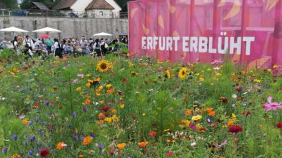 Bild: Portner
Die Bundesgartenschau in Erfurt ist auch jetzt im Herbst einen Besuch wert.