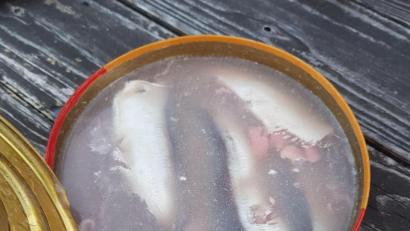 Bild: Tobias Gräf
Zum Glück transportieren Bilder keine Gerüche: Der beißend-faulige Gestank, der aus einer Surströmming-Dose mit fermentierten Hering entweicht, ist nichts für zarte Nasen.