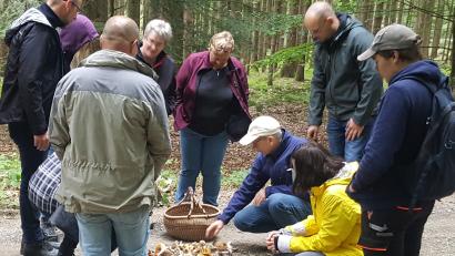 Bild: fjo
Pilzexperte Stefan Hartwig (Vierter von rechts) sichtet die umfassende Erhebung aller um Waidhaus vorkommenden Pilzsorten.
