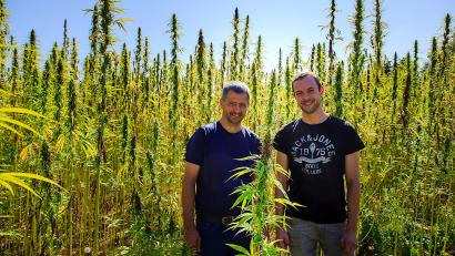 Bild: Hösamer
Markus Kneißl (rechts) und Marco Horsch stehen in einem Hanffeld nahe des Sitzenhofs bei Schwandorf. Beide setzen auf die uralte Kulturpflanze.