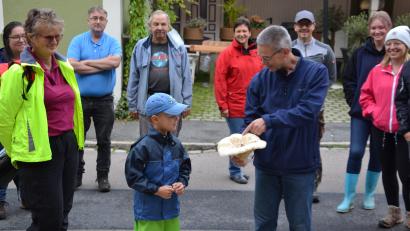 Bild: gi
Pilzsachverständiger Stefan Hartwig hatte einen großen Pfeffermilchling mitgebracht, der von den Teilnehmern bewundert wurde. Auch der junge Mann interessierte sich für den Pilz, denn früh übt sich, was ein echter „Schwammerer“ werden will.