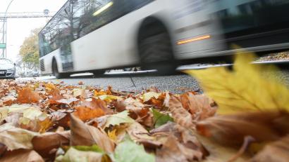 Symbolbild: Bodo Marks/dpa
Die dunkle Jahreszeit hat begonnen - der Herbst ist eingezogen. Buntes Laub und morgendlicher Nebel sind allerdings nicht nur schön anzusehen, sondern bergen auch Gefahren im Straßenverkehr.