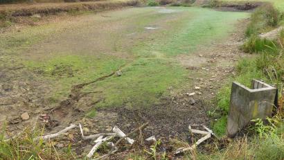 Bild: rn
Die Weiheranlage in Apfelbach wurde vom Löschteich zum Dorfweiher umgewidmet und benötigt daher keinen Schutzzaun. Nach dem Abtrocknen des Weiherbodens soll die Böschung saniert werden und das Umfeld eine Verschönerung erhalten.