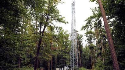 Bild: akp
Der bestehende Funkmast auf dem Herrnberg wird aufgestockt.