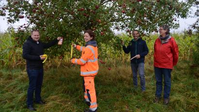 Bild: ak
Bürgermeister Christian Porsch, Sabine Freiberger, Paul Solata und Christine Schmidt bei Anbringen der Markierungsbänder. Diese zeigen an, an welchen Bäumen geerntet werden darf.
