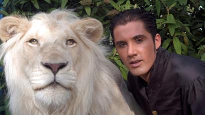 Bild: Circus Krone/dpa
Der traditionsreiche Circus Krone in München trauert um seinen weißen Löwen King Tonga.