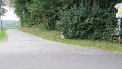 Bild: ohr
Auf dem Sportgelände des TSV Stulln versperren immer wieder parkende Autos zwischen altem Sportplatz und dem Wald den Rettungsweg.