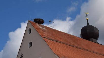 Bild: bnr
Der Kamerablick ins Storchennest auf der Klosterkirche rief nun den Landesdatenschutzbeauftragten auf den Plan.