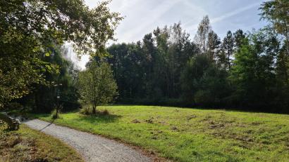 Bild: sne
Jugendliche wünschen sich zum Beispiel am Sandfurthweg eine Pumptrack-Strecke, möglicherweise am alten Standort. Die Verwaltung soll zunächst einmal die Kosten prüfen.