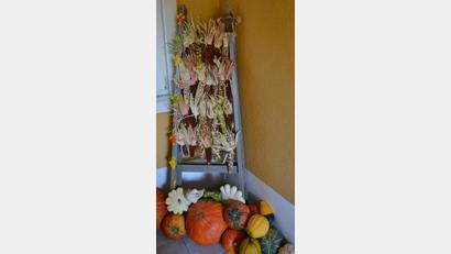 Bild: do
Bunte Herbstkreationen für Wohnung, Haus und Garten