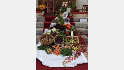 Bild: öt
Ein reichhaltiger Erntedankaltar mit Feldfrüchten, Obst und Gemüse schmückte die Altarstufen der Pfarrkirche Patrona Bavariae. Auch ein alter Fensterflügel mit der Aufschrift „Gott hab Dank für Speis und Trank“ schmückte den Altar.