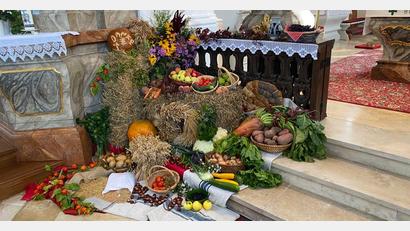 Bild: twg
Viel Mühe und Arbeit haben sich die Mitglieder der Katholischen Landvolkbewegung beim Erntedankaltar in der Pfarrkirche Sankt Martin in Pullenreuth gemacht.