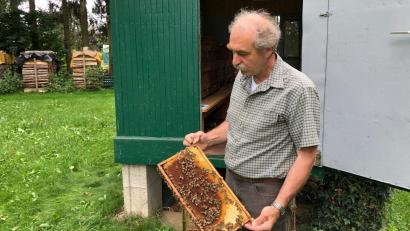 Archivbild: mis/exb
Albert Sittl gab einen Situationsbericht über das Bienenjahr.
