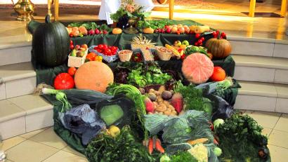 Bild: ak
Mitglieder des Obst- und Gartenbauvereins haben den Erntedankaltar vor dem Hauptaltar der Kulmainer Pfarrkirche gelegt.