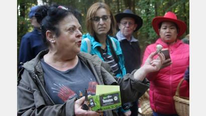 Bild: ads
Die Pilzsachverständige Martina Franke vermittelt den über 30 Teilnehmern der Pilzwanderung von Oberpfalz-Medien enormes Wissen über bekannte und unbekannte Pilze und zeigt sich als wandelndes Pilzlexikon.