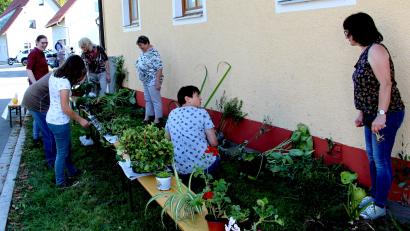 Bild: ds
Ein vielseitiges Angebot wartete vor dem Feuerwehrgerätehaus in Kirchenreinbach auf interessierte Gartenliebhaber.