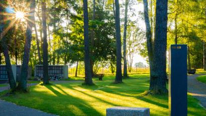 Bild: Stadt Weiden/exb
Auf dem Baum- und Wiesengrabfeld im Waldfriedhof ist nun auch eine Bestattung möglich.