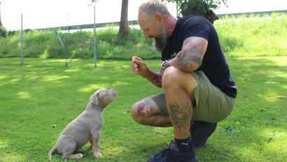 Bild: Evi Wagner
In der Welpenzeit wird der Grundstock für das spätere Verhalten des Hundes gelegt.