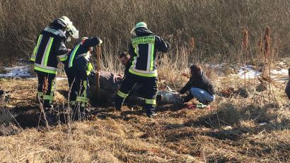 Bild: flm
In einer misslichen Lage befand sich "Bolita" am Sonntagnachmittag. Kräfte der Feuerwehr mussten anrücken und das Tier aus einem Sumpf befreien. Im Bild auch Annika Gradl und Johannes Mayer vom Reitverein.