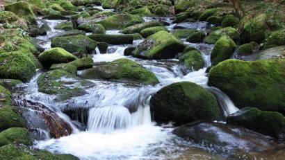 Archivbild: Ingrid Popp
Das Lerautal gehört zu den klassischen Postkartenmotiven im Naturpark Nördlicher Oberpfälzer Wald.