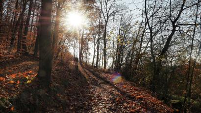 Archivbild: Petra Hartl
Ein paar Sonnenstrahlen lassen sich auch Mitte Oktober noch in der Oberpfalz blicken.