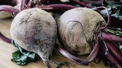 Bild:  Zacharie Scheurer/dpa
Die Blätter und Stiele der Roten Bete können beim Kochen auch verwendet werden – etwa als Bett für die Knödel. Bekommt man die Knollen nur ohne grünes Beiwerk, eignen sich dafür auch Spinat- oder Raukeblätter.