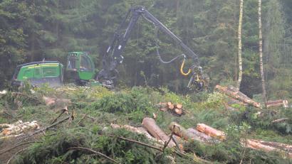 Bild: dob
Entlang der alten Bundesstraße 14 entsteht ein neues Gewerbe- und Industriegebiet. Zurzeit wird dafür gerodet.