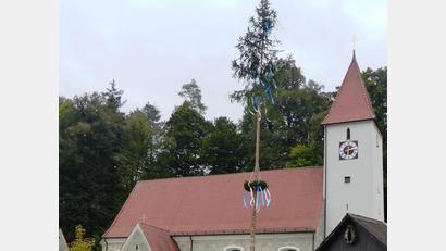 Bild: jp
Die Pfaffenhofener Kirwaleute stellten als Erinnerung an die ausgefallen tollen Kirwa-Veranstaltungen einen Erinnerungsbäumchen auf.