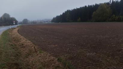Bild: br
Der Bebauungsplan mit integrierter Grünordnung für das neue 38 000 Quadratmeter große Gewerbegebiet „Neusorg-Süd II“ an der Gemeindeverbindungsstraße von Neusorg nach Stöcken (unser Bild) wird mit Feststellungs- und Satzungsbeschluss rechtskräftig.