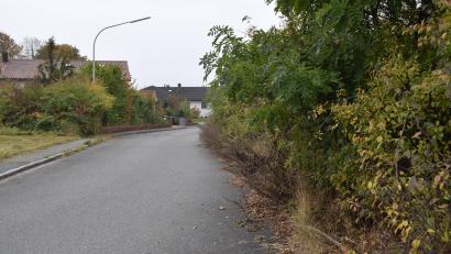 Bild: bnr
Das Zurückschneiden von Bäumen und Sträuchern an öffentlichen Straßen gehört zu den Pflichten jedes Grundeigentümers. Ein Verkehrsgefährdung muss ausgeschlossen werden.