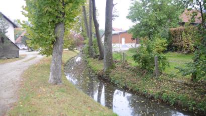 Bild: ak
Im bisherigen Schutzkonzept ist auch in Speichersdorf die Maßnahme am Aubach unterhalb der Brücke in der Kemnather Straße priorisiert.