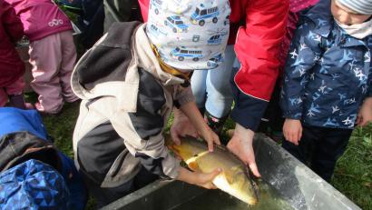 Bild: Julia Luber/exb 
Die Kinder des St.-Martin-Kindergartens in Pfreimd halfen beim Abfischen des Dorfweihers in Rappenberg.