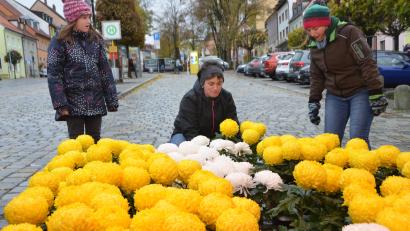 Bild: dob
Vor allem Blumen als Gräberschmuck zu Allerheiligen sind bei der "Kalten Kirwa" heiß begehrt.