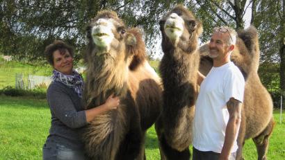 Bild: ubb
Claudia und Thomas Richter haben sich vor fünf Jahren als gemeinsames Hobby Kamele angeschafft. Nach vielen bürokratischen Hürden leben sie mit fünf der sanften "Wüstenschiffe" auf einem Bauernhof in Höfen.