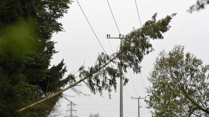 Bild: Gabi Schönberger
Sturm "Ignaz" sorgt auch in der Oberpfalz für erste Schäden. In Luhe war in Teilen des Marktes der Strom ausgefallen, weil ein Baum auf eine Starkstromleitung gestürzt war.