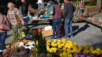 Bild: dob
Allerheiligenblumen waren an der "Kalten Kirwa" gefragt.