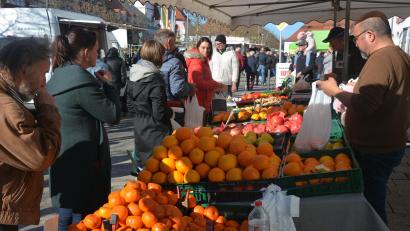 Bild: jr
Im reichhaltigen Angebot des Kirwamarktes in Tirschenreuth fand sich auch frisches Obst. Umsehen konnten sich die Besucher nicht nur an den Ständen, sondern auch in den Geschäften.