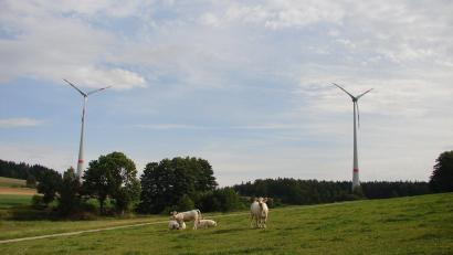 Symbolbild: upl
Gibt es in Etzenricht die Möglichkeit, Windräder zu bauen? Der Gemeinderat will das prüfen.