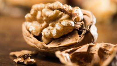 Bild: Franziska Gabbert/dpa
Ursensollen und Hohenkemnath waren einst Nussdörfer. Die Gemeinde greift das Thema jetzt neu auf.