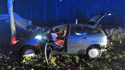 Bild: Polizei
Weil sie mit ihrem Auto einem Hasen ausgewichen ist, landete eine 30-Jährige an einem Baum.