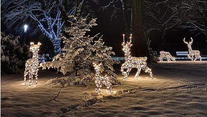 Archivbild: bjp
Das Adventspark-Konzept ist neu, die schon im Vorjahr aufgestellte "Rentierfamilie" wird aber auch heuer den Dietl-Park schmücken. Für ihren Christkindlmarkt der anderen Art hoffen Stadtverwaltung und Planungsteam auf viele Fieranten.