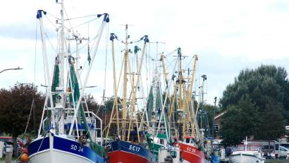 Bild: Bernd F. Meier/dpa
Der Hafen von Büsum ist Heimat für rund 50 Krabbenkutter.