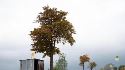 Symbolbild: Sebastian Kahnert/dpa
Eine Bushaltestelle an der Bundesstraße 115 im sächsischen Dernitz.